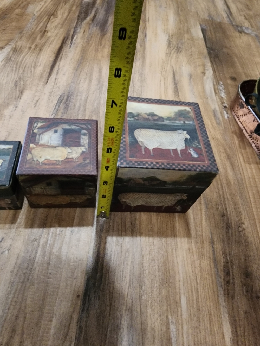Primitive Sheep Box Set - Picture 6 of 6